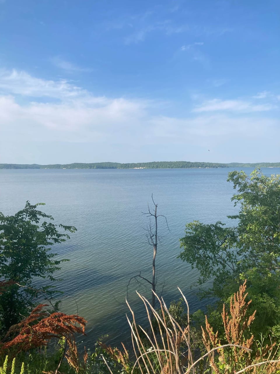 Lake+cherokee