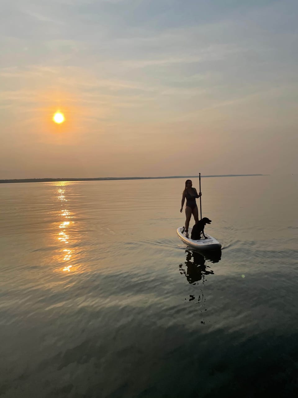 Paddle board