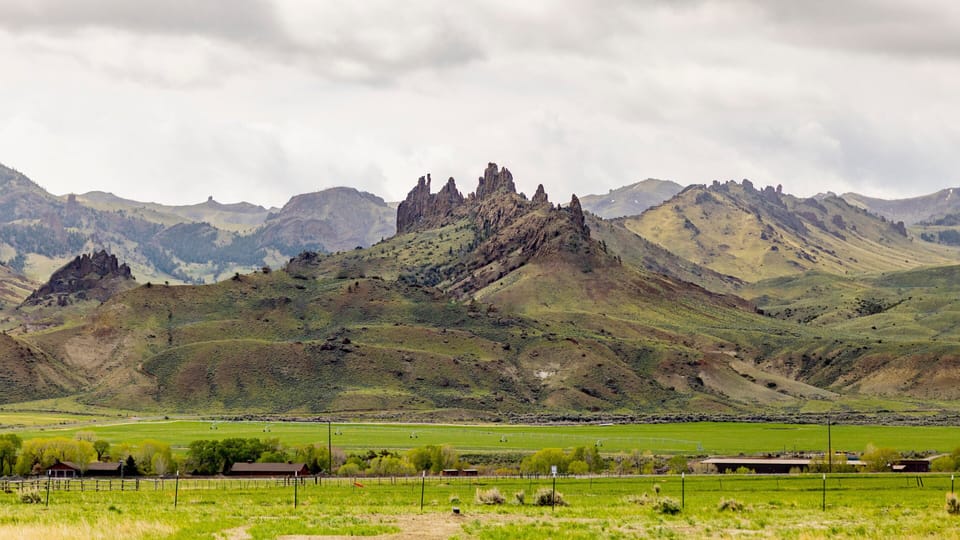 View wildlife that frequents the area including deer, elk, rabbits, eagles, songbirds and bison.