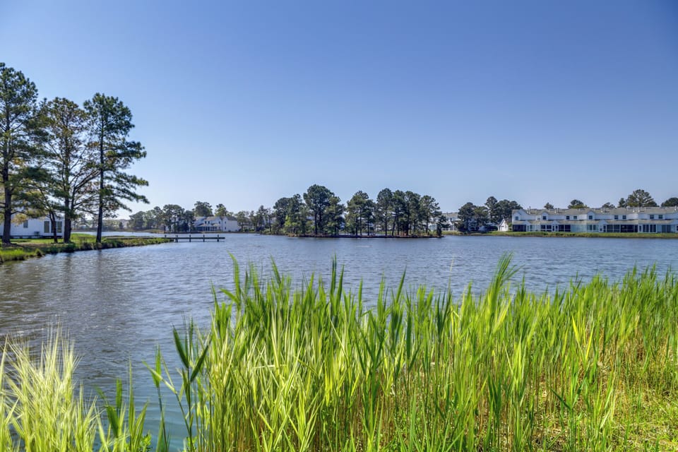 Lake Views | Mallard Lakes
