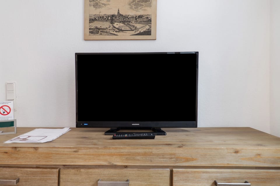 Television
