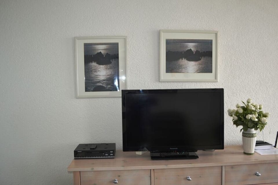 Television