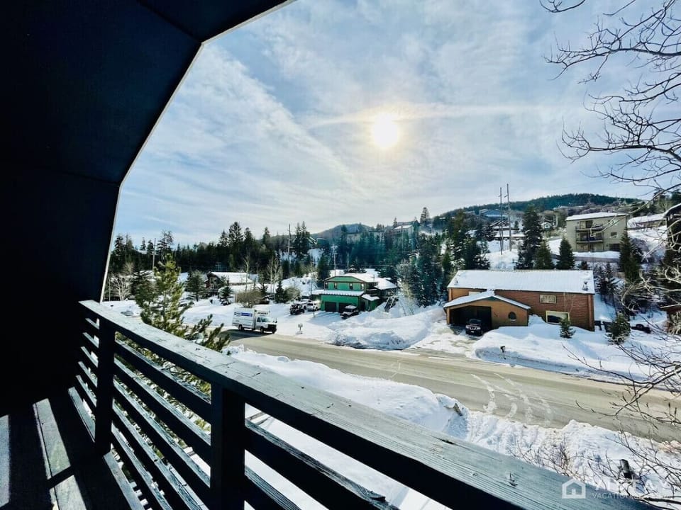 View during winter season ❄️
