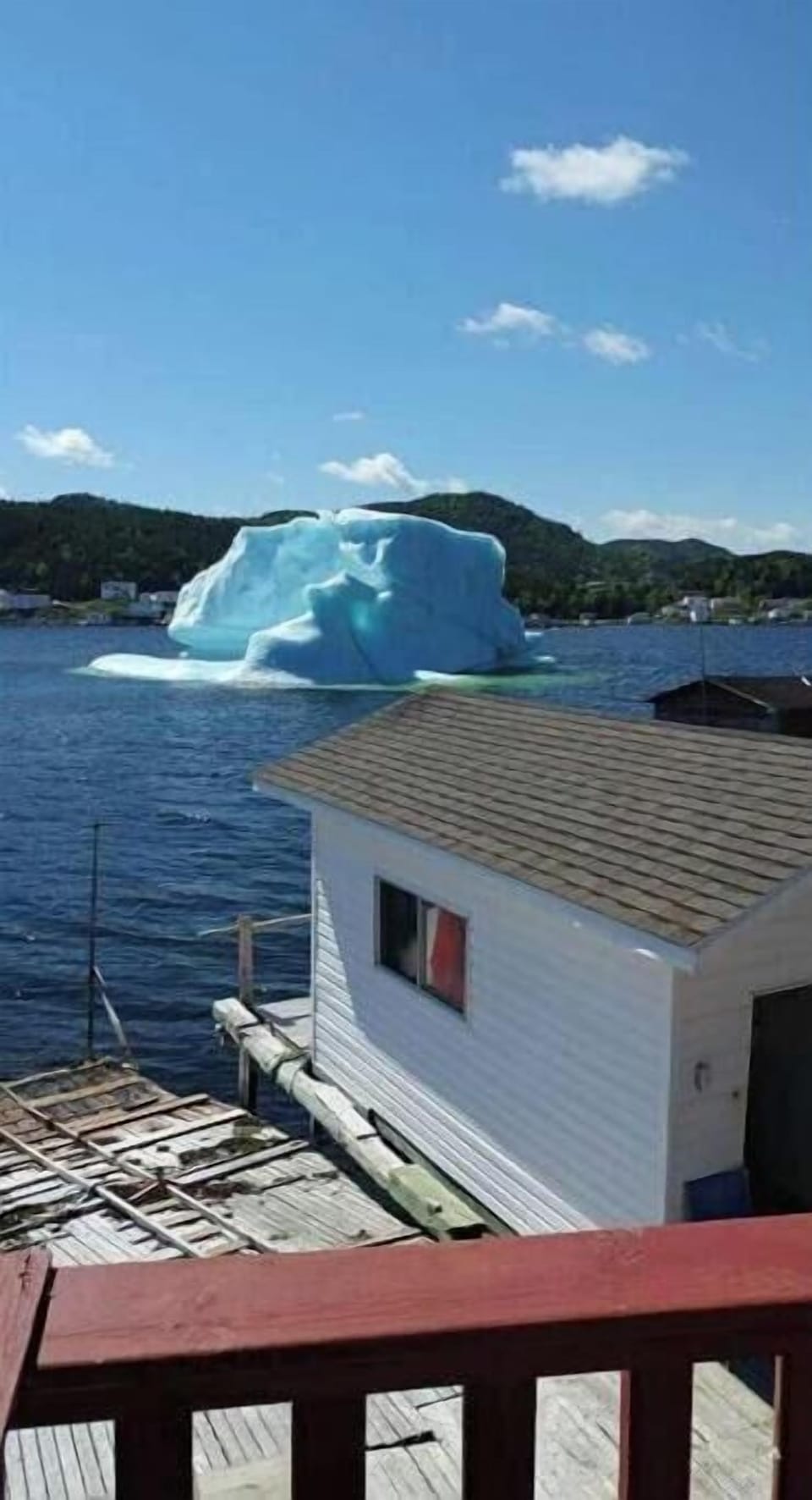 Millions of years old icebergs, still  past by our shores, and they keep coming!