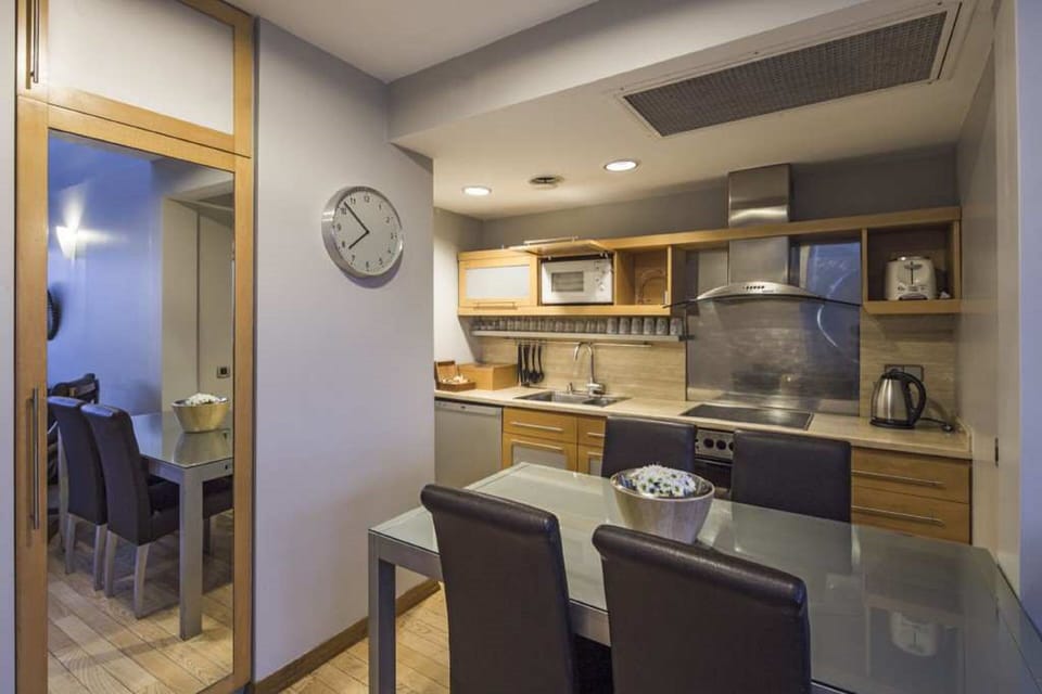 Superior Penthouse with Bosphorus View | Private kitchen | Stovetop
