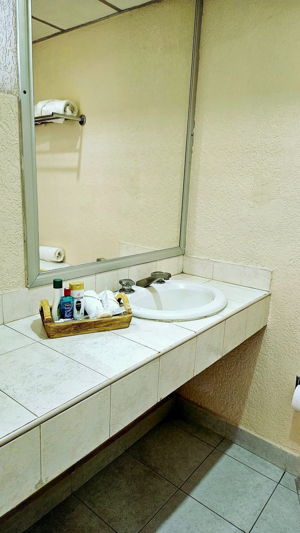 Elite Room | Bathroom | Towels, soap, shampoo, toilet paper