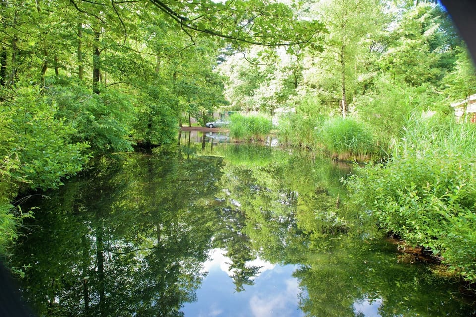 Surroundings [summer] (1-5 km)