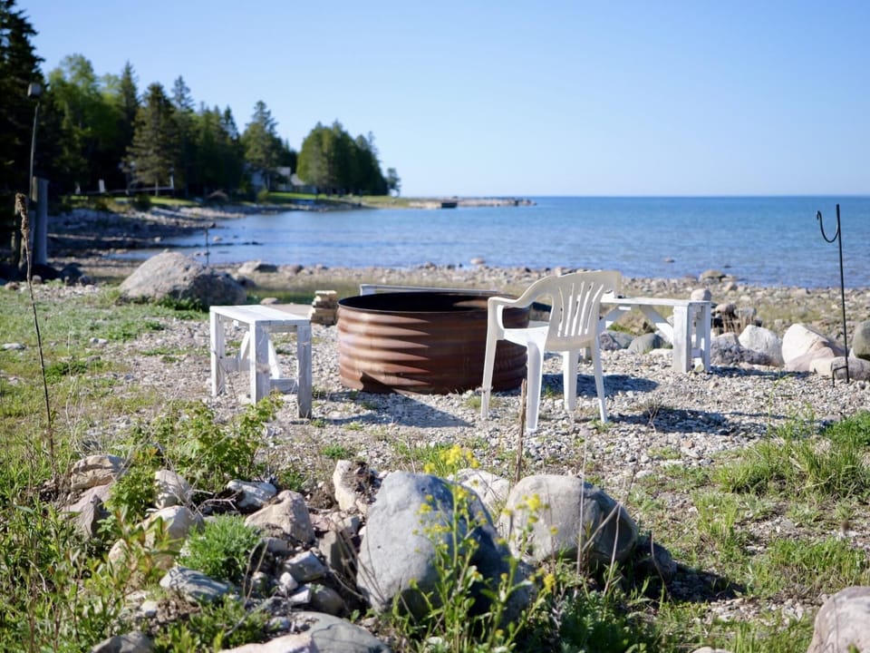Chickadee on Drummond Island (2783)
