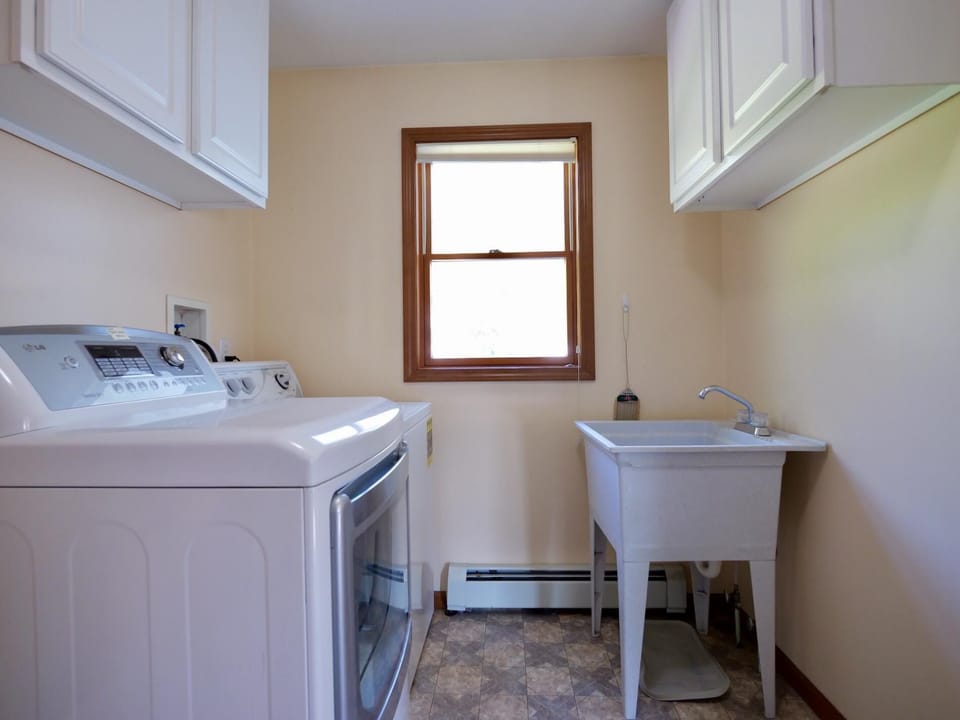 Chickadee on Drummond Island (2793)