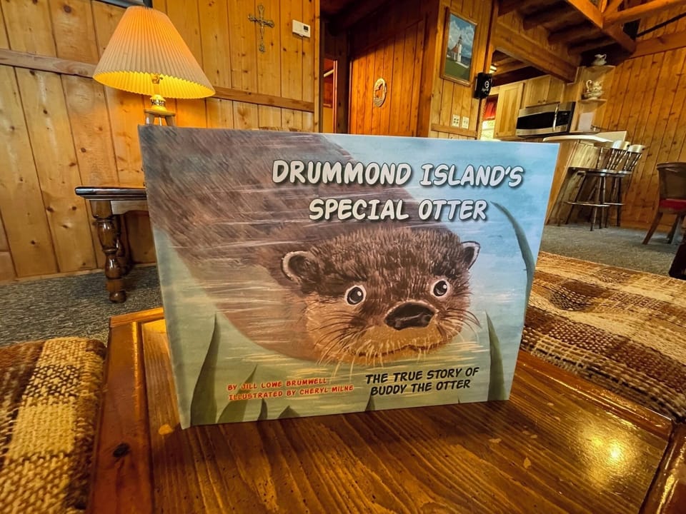Like No Otter on Drummond Island (4464)