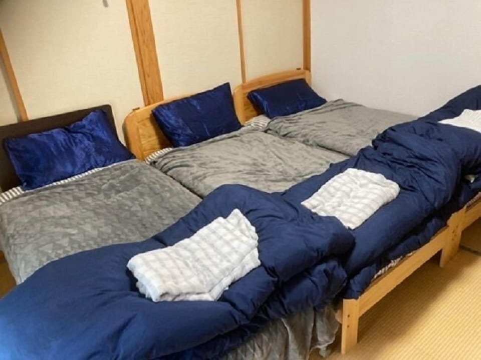 Basic Triple Room | Blackout drapes, iron/ironing board, free WiFi