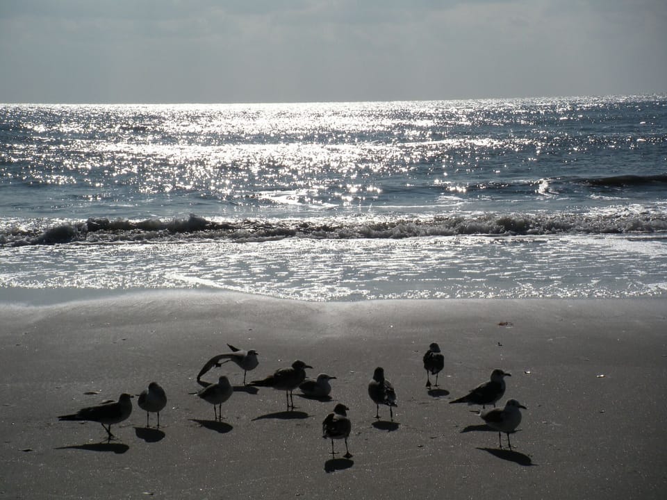 Ventnor Beach