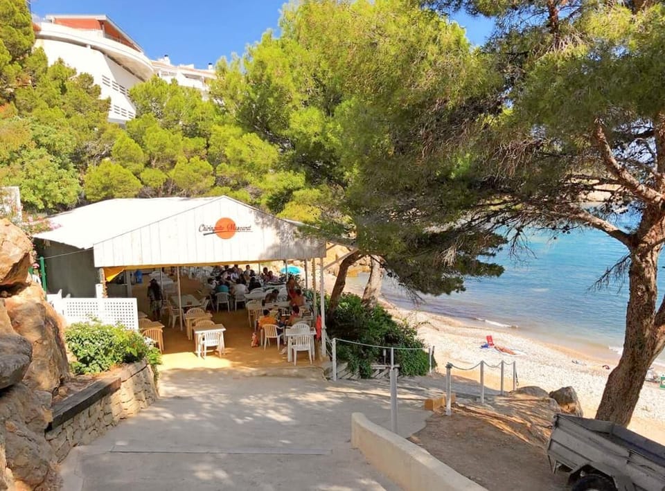 Seafront and Garden View - 21