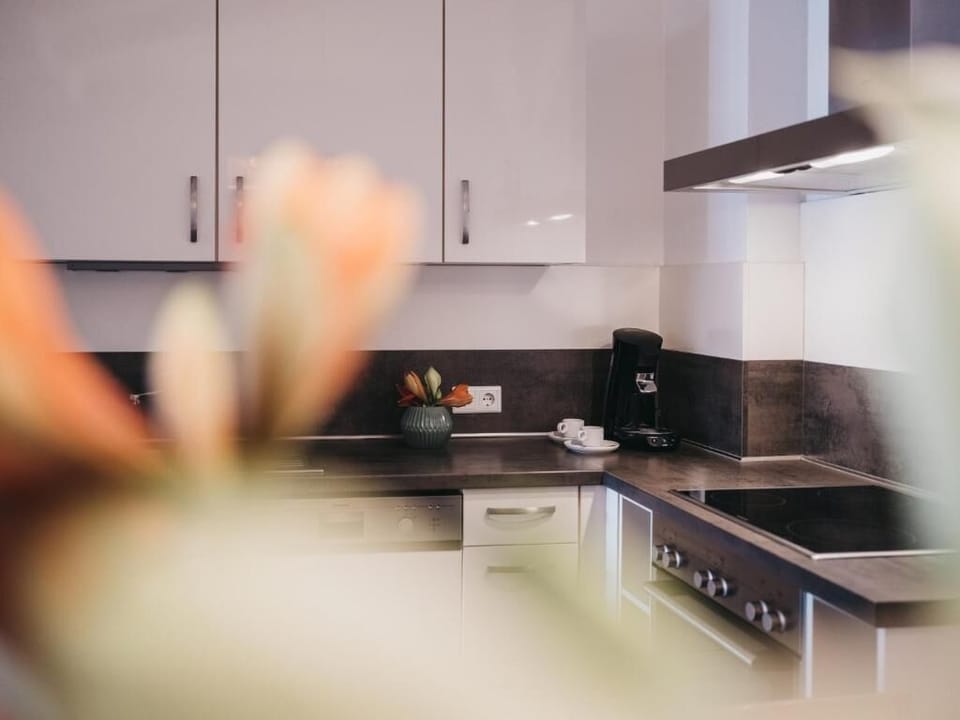 Fridge, oven, stovetop, espresso maker