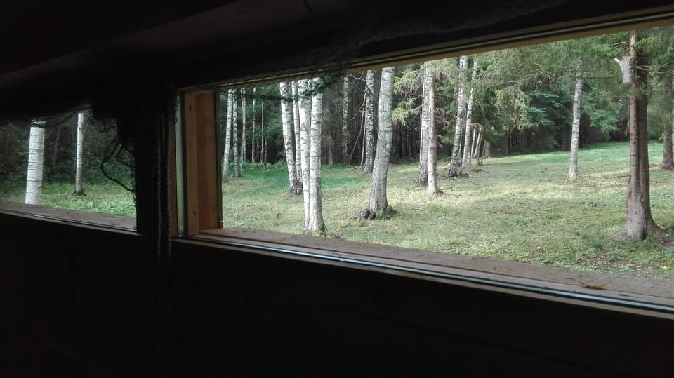 Cabin | View from room