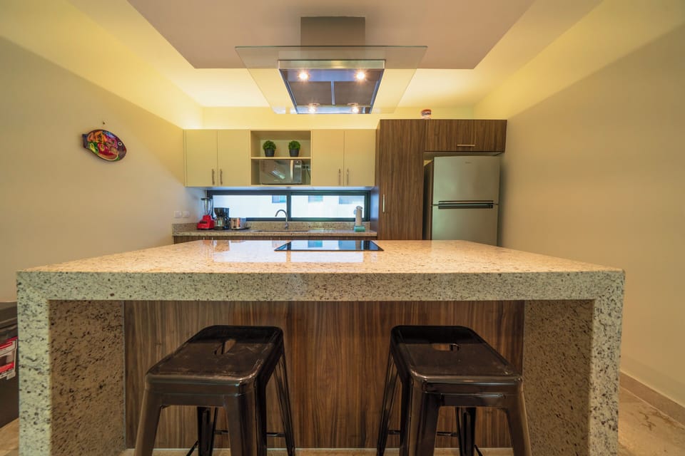 Deluxe Condo | Private kitchen | Fridge, microwave, toaster, blender