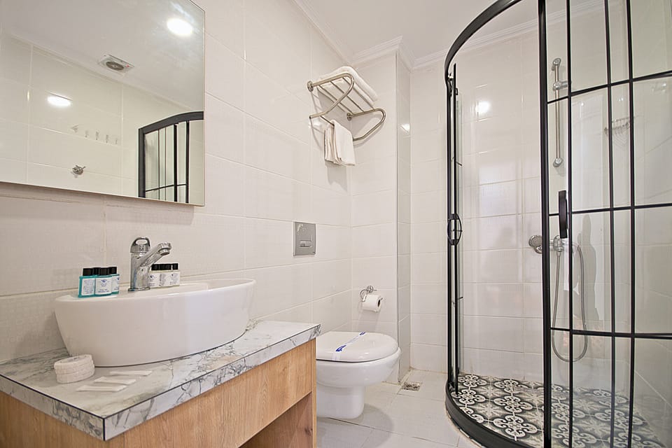 Shower, eco-friendly toiletries, hair dryer, slippers