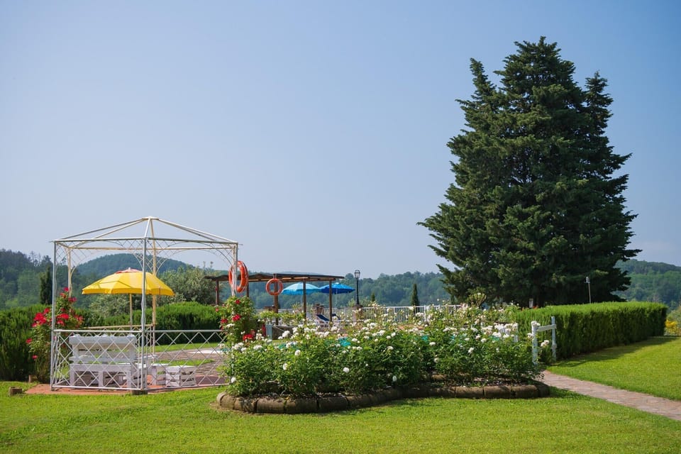 Garden [summer]
