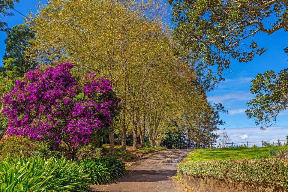 Gardens and Grounds