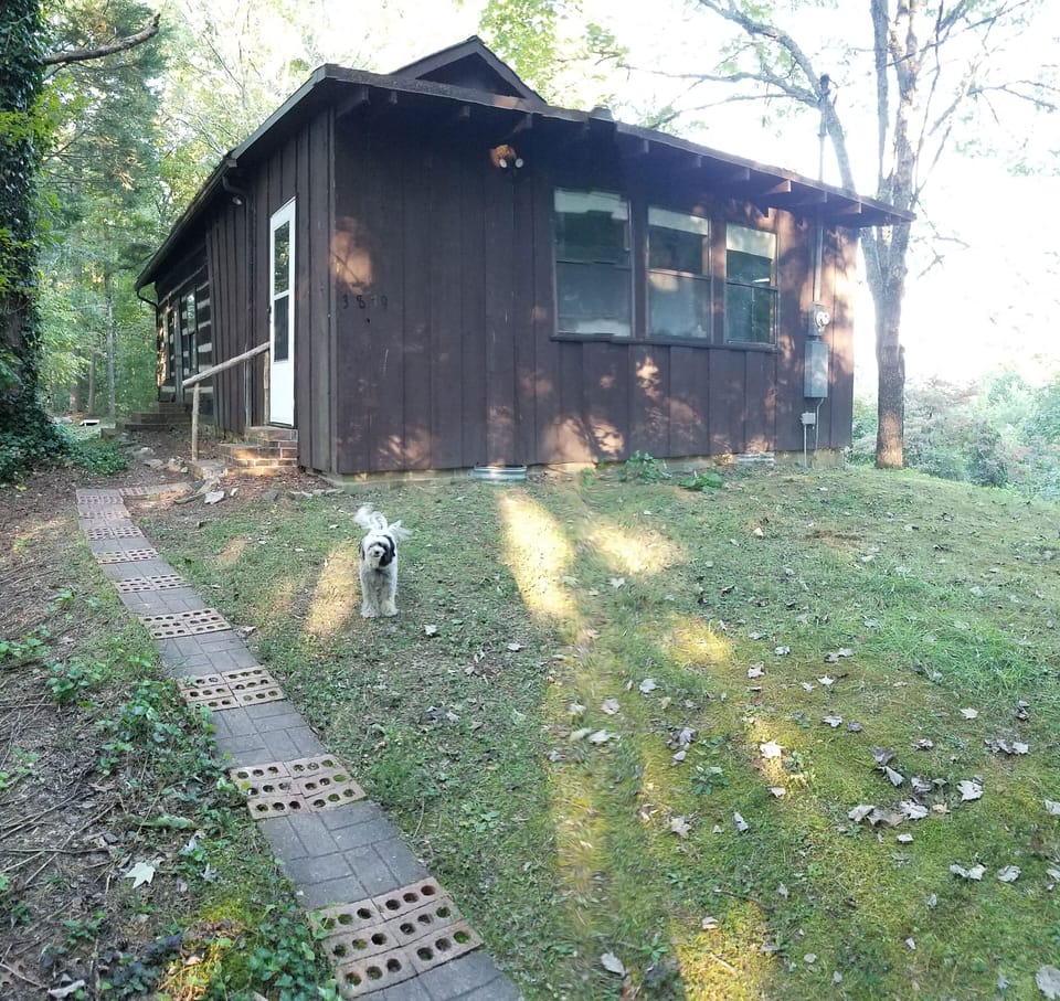 Path up to cabin from driveway.