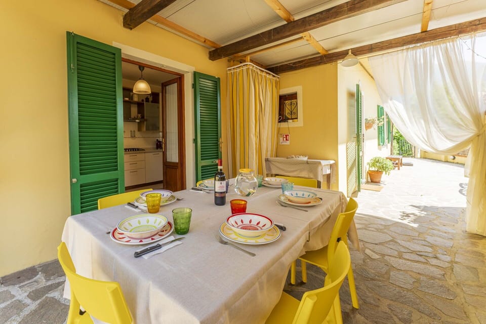 Autumn, Garden, Spring, Summer