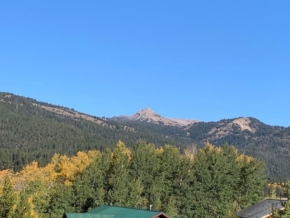 View from kitchen window of Bald Peak