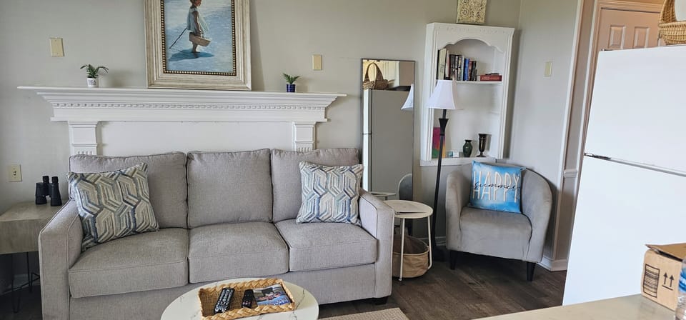 Brand New Sleeper Sofa, New Rug, New furniture! Open and Bright!