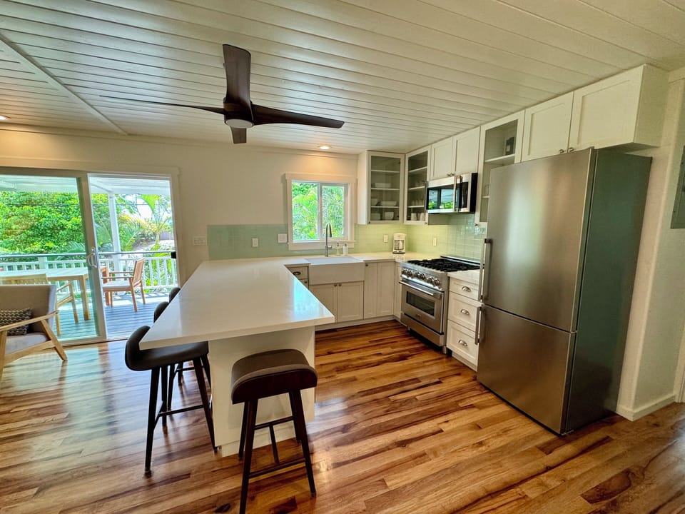 Chef's style kitchen
