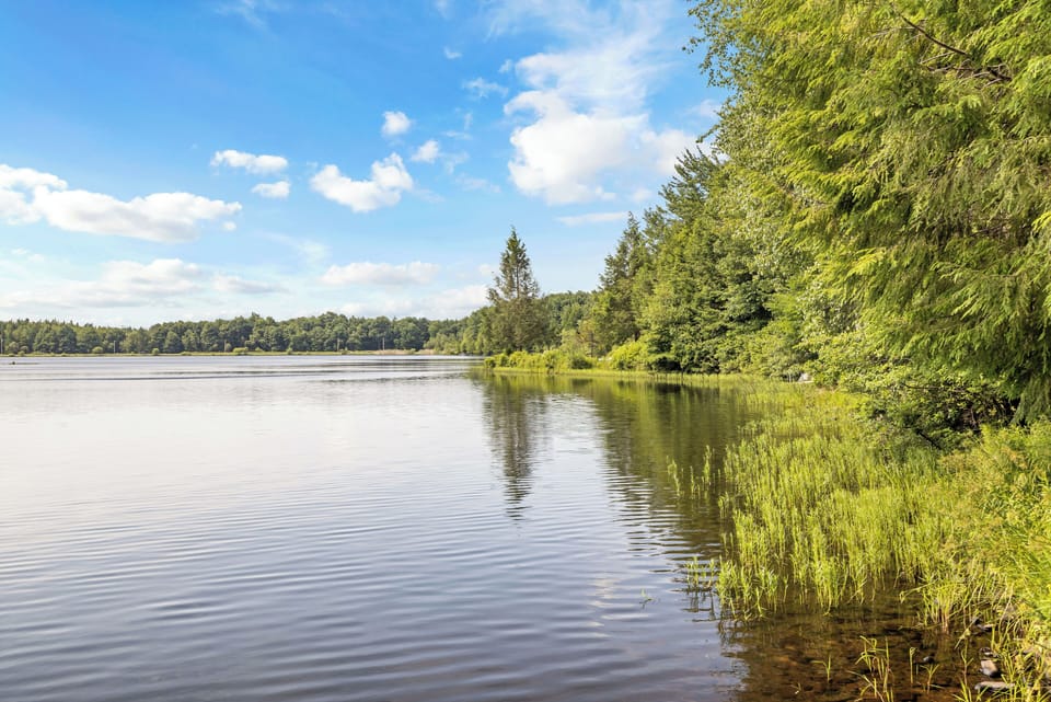 Experience the beauty of nature during the day or stargaze at night