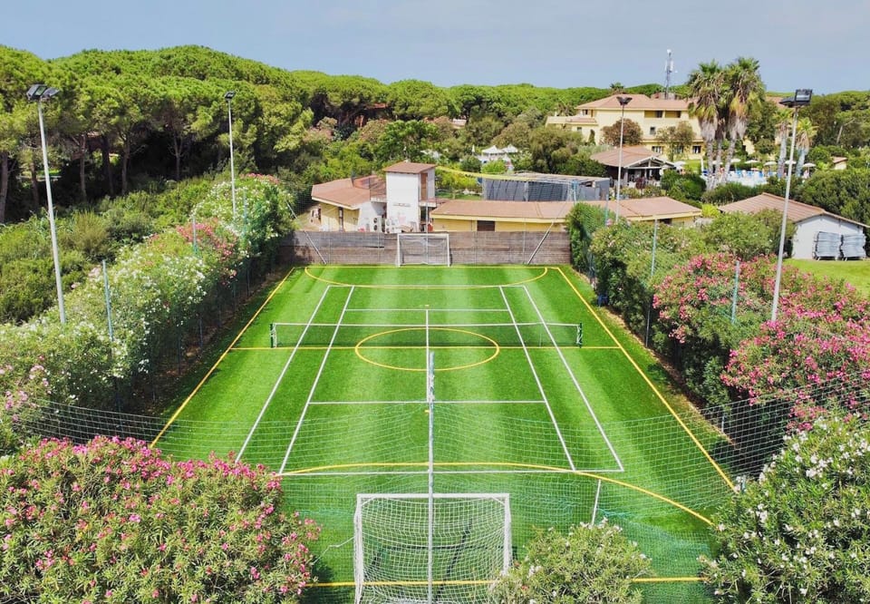 Tennis court