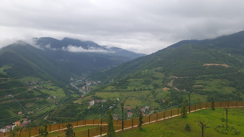 View from room