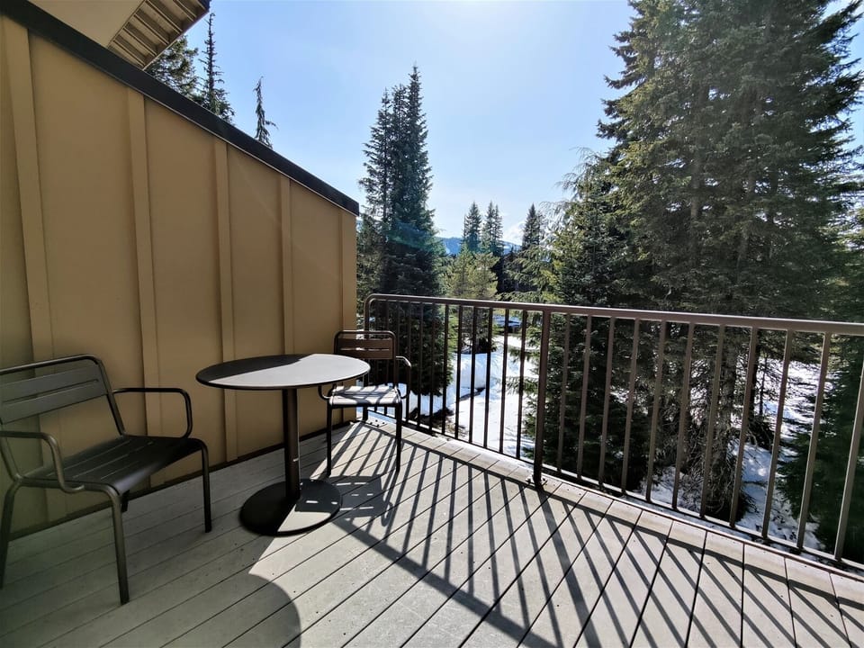 Patio View