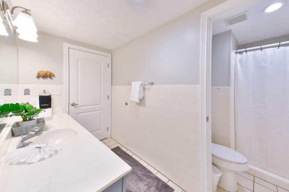 Main suite bathroom