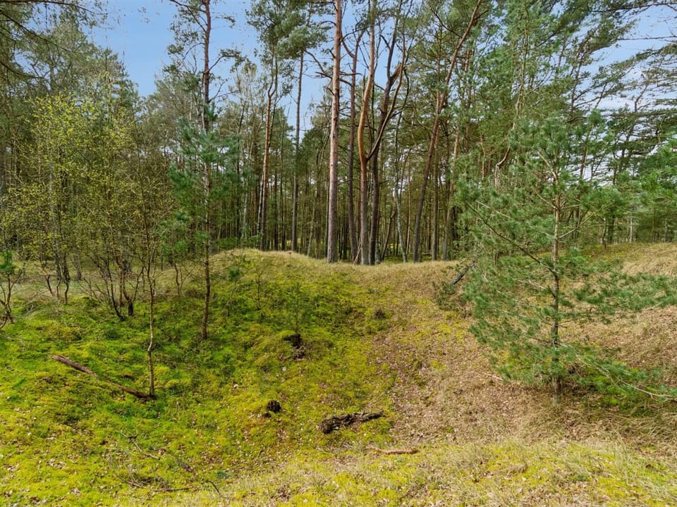 Place