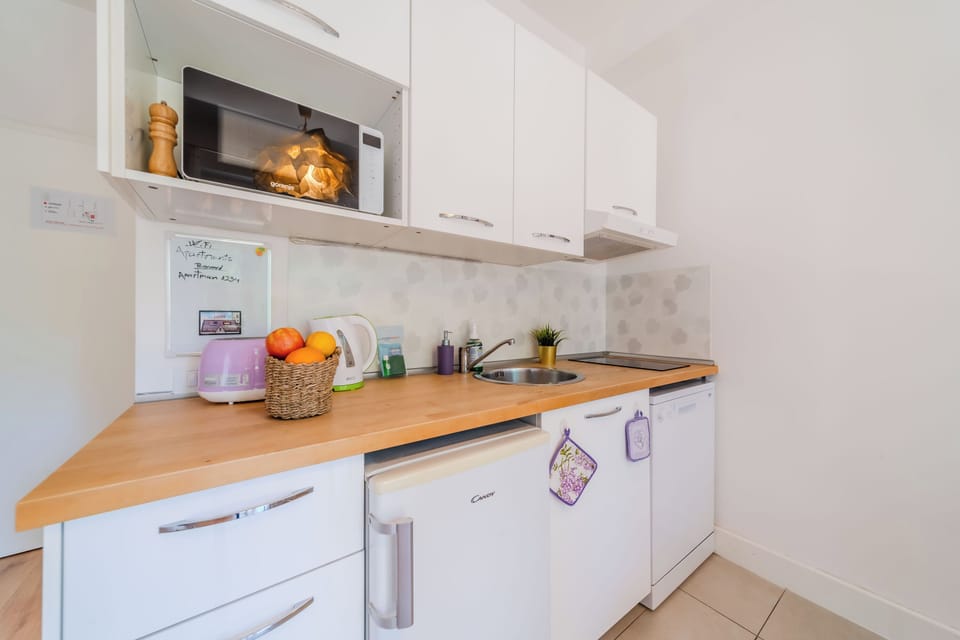 Family Studio, Microwave (Lavanda Apartment With Terrace) | Private kitchen