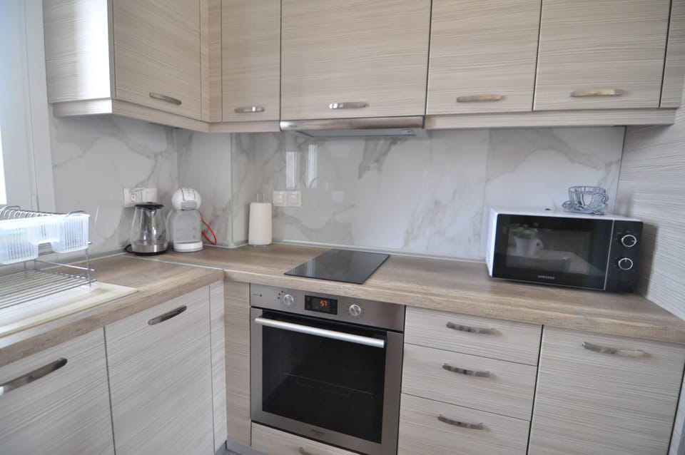 Family Apartment, 2 Bedrooms | Private kitchen | Electric kettle