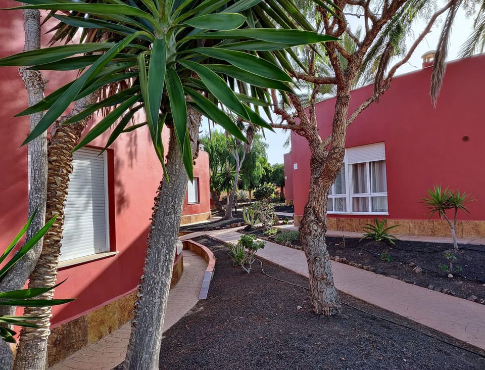 Communal area of the complex 