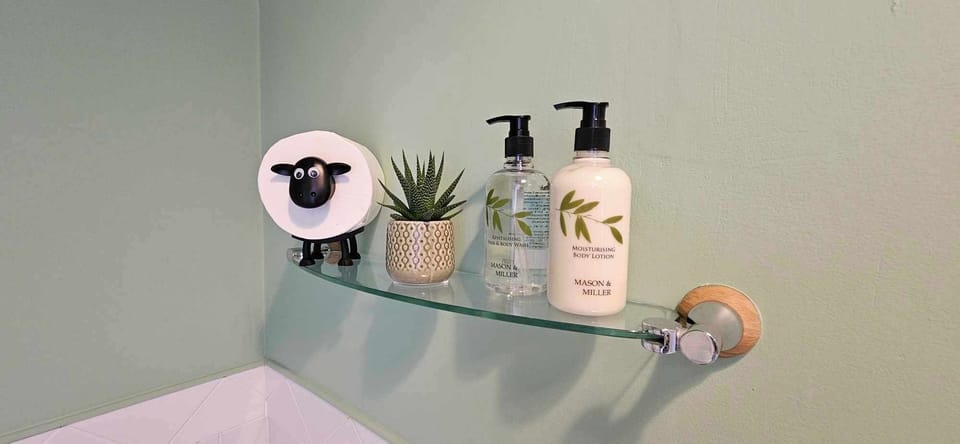 Traditional Double or Twin Room, Garden View | Bathroom | Shower, hair dryer, towels, soap