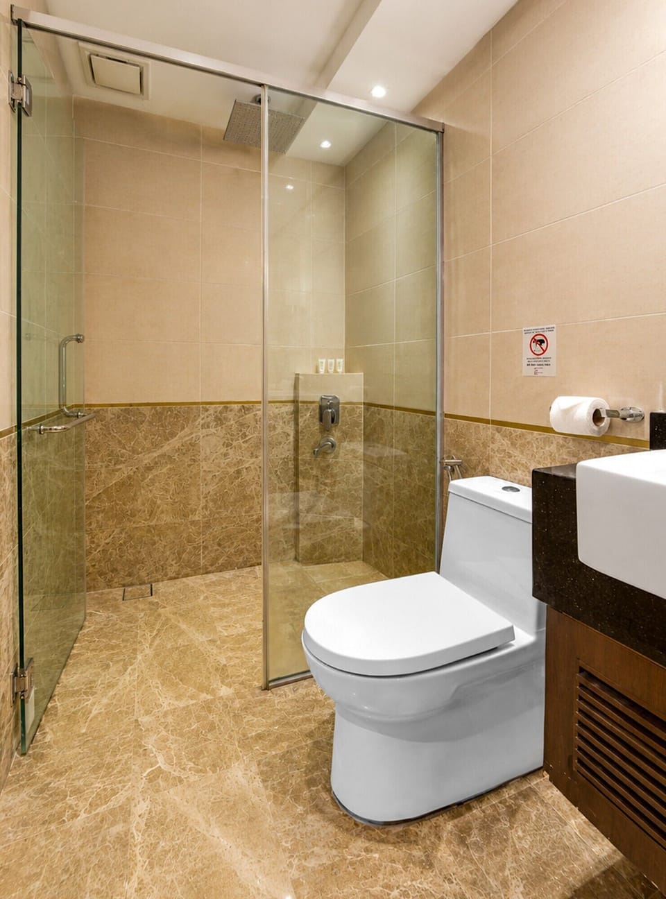 Executive Suite | Bathroom | Shower, hair dryer (on request), bidet, towels