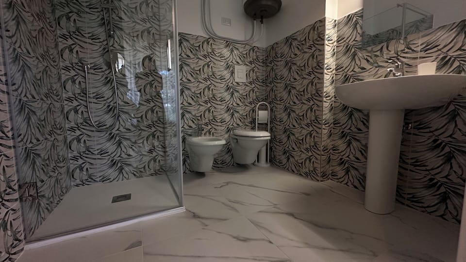 Hair dryer, bidet, towels, toilet paper