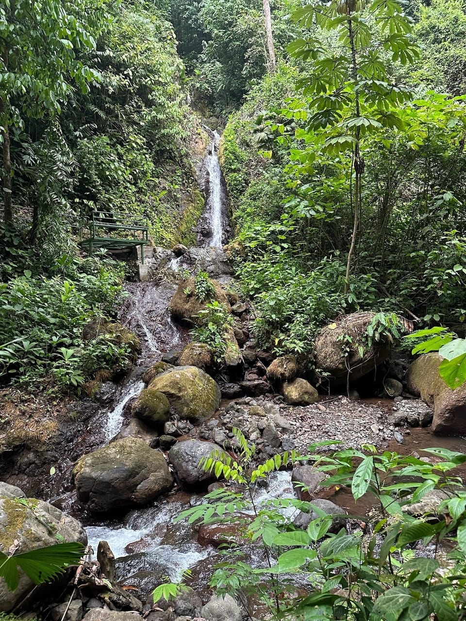 outdoor natural shower