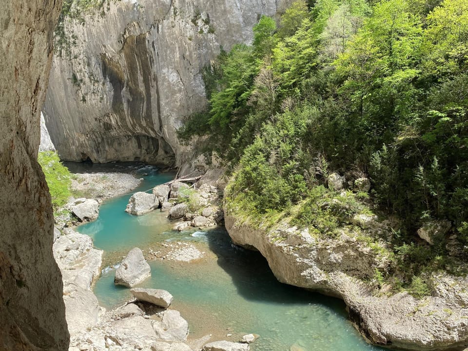 Region [summer] (>5 km)