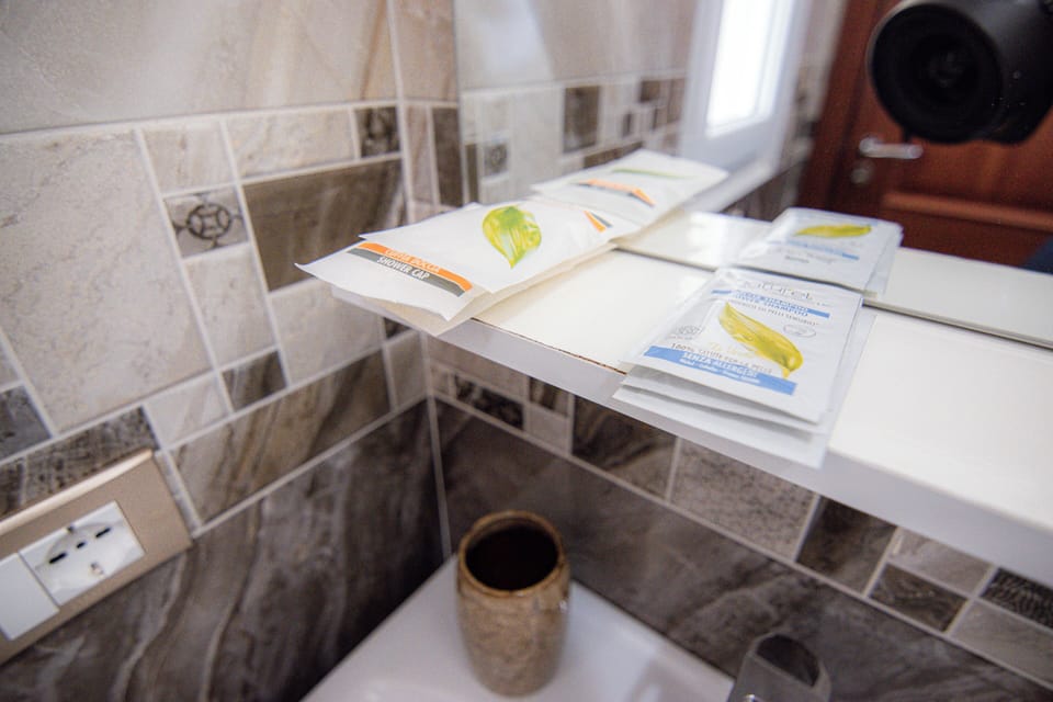 Shower, hair dryer, bidet, towels