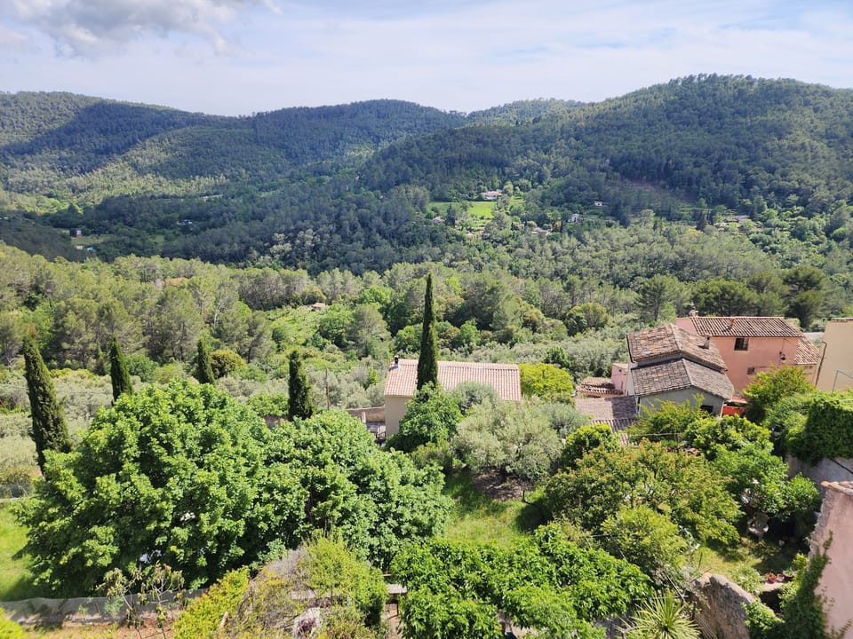 Deluxe Double Room, Valley View | Valley view
