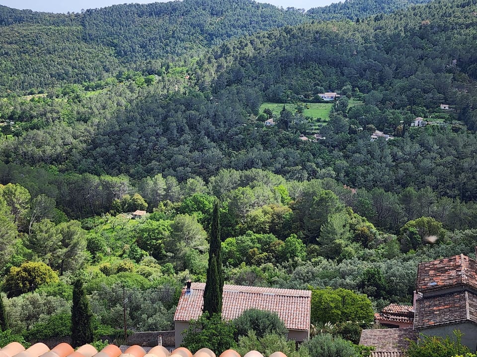 Exclusive Double Room, Valley View | Valley view