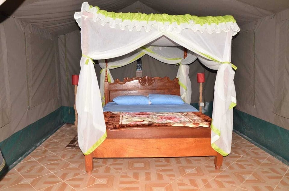 Single Room, Balcony | Bed sheets
