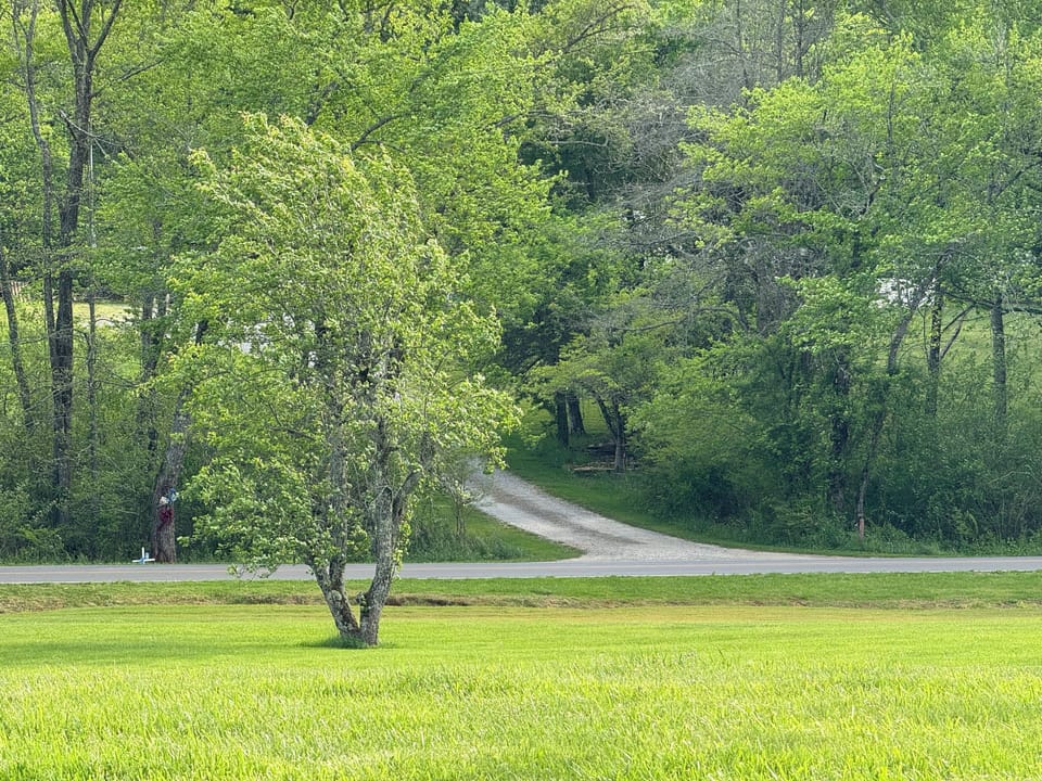 We have two pear trees on the property. Best time to pick em is Aug-Oct!