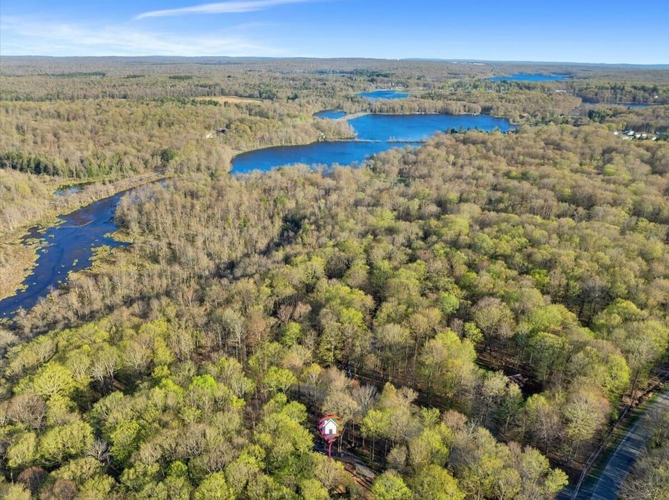  “A forest retreat on the edge of Larsen Lake — private and peaceful.”