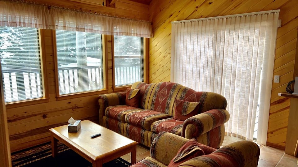 Living room couch with pull out bed
