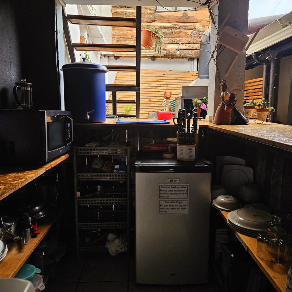Microwave, oven, blender, cookware/dishes/utensils